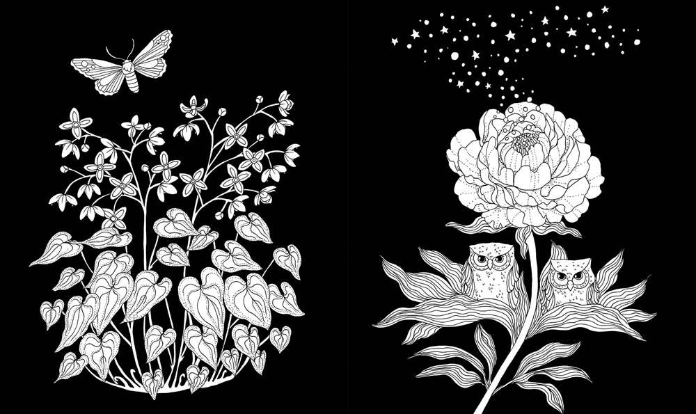 Maria Trolle 96 Page Hardcover Coloring Book - Nightfall