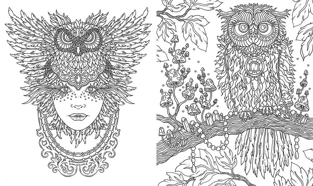 Hanna Karlzon 96 Page Hardcover Coloring Book - Spirit Animals
