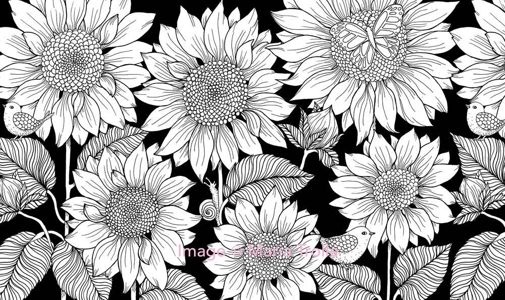 Maria Trolle 96 Page Hardcover Coloring Book - Twilight Garden