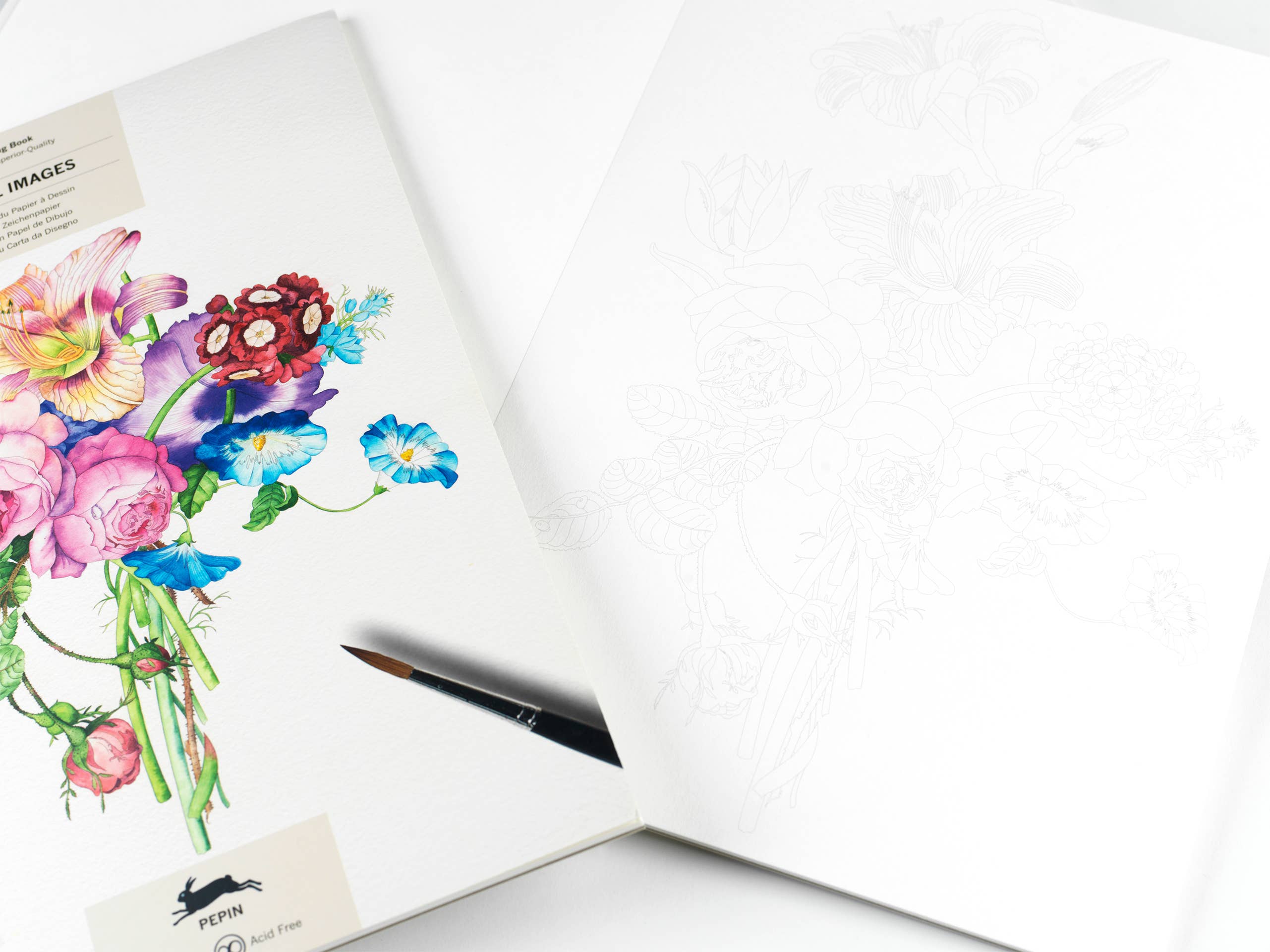 Blossom and Bloom: A Floral Images Artists' 16 Page Colouring Book