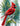 Great2bColorful - 16" x 20" Advanced Grayscale Coloring Sheets, 2 Pack Set - "Cardinals-1"