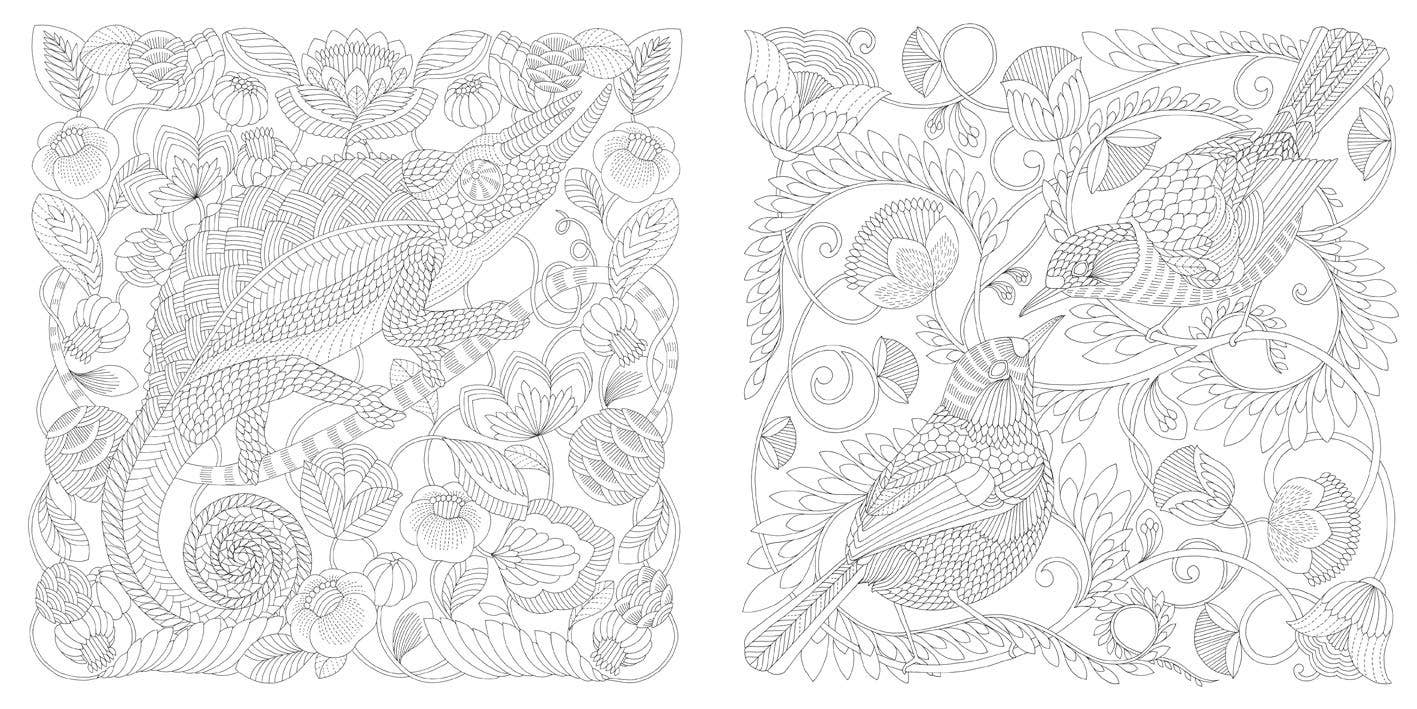 Millie Marotta's Wildlife Wonders Coloring Book