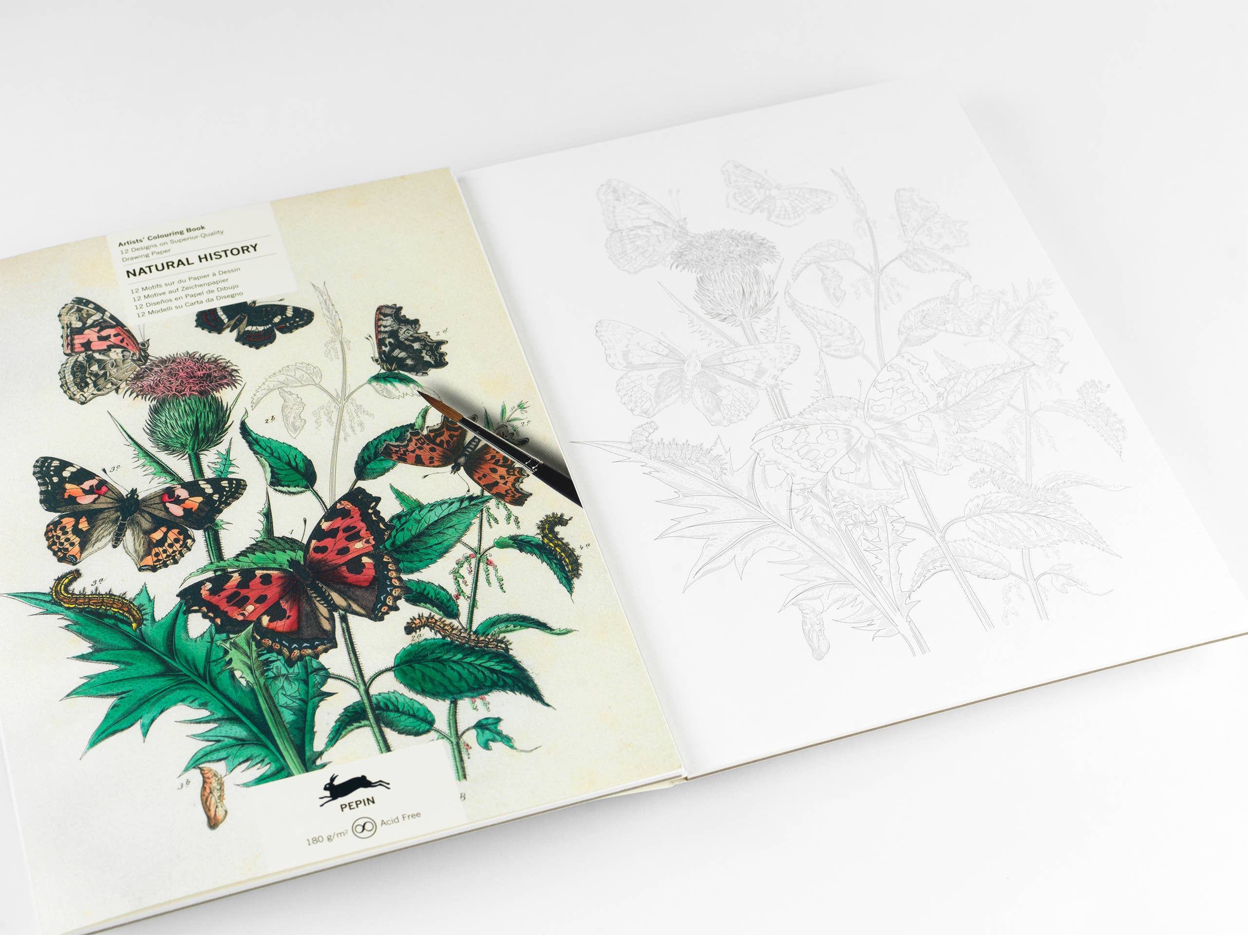 Sketches of Nature: A Natural History Artists' 16 Page Colouring Book