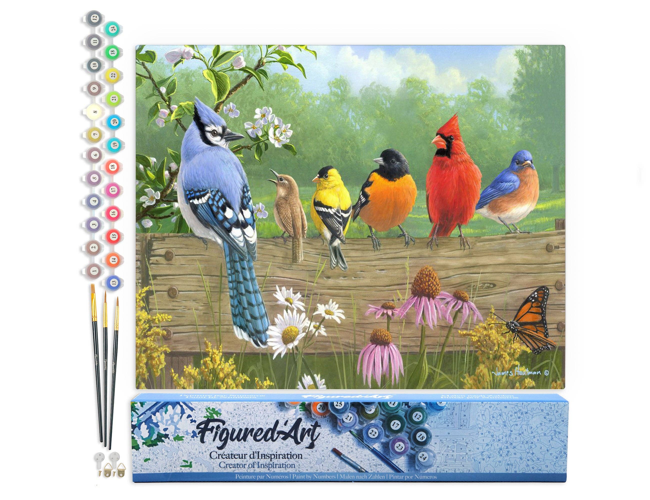 Paint By Numbers 16 x 20 Linen Canvas - Birds On A Fence