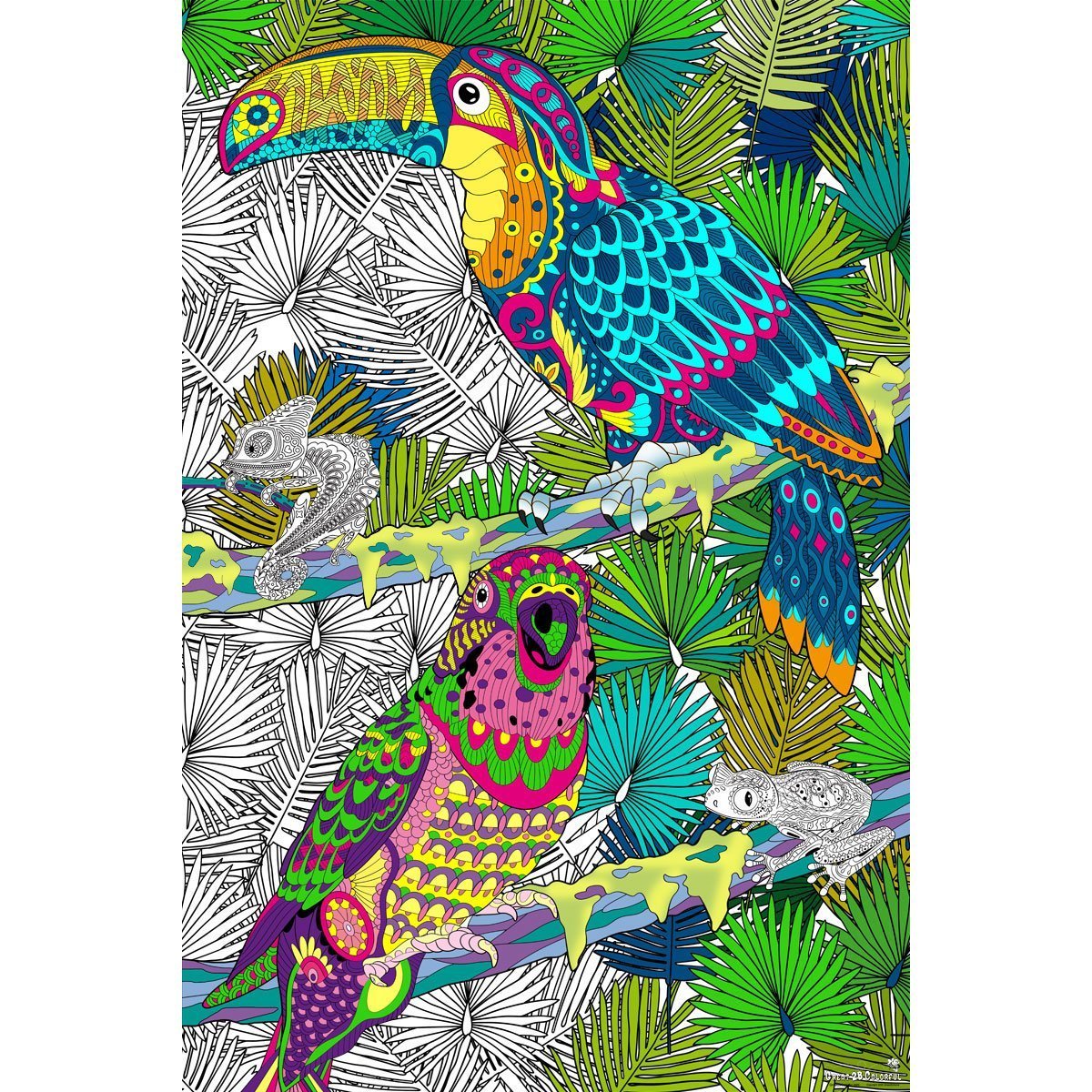 Great2bColorful - 24" x 16" Birds Around The World 4 Pack Huge Coloring Posters
