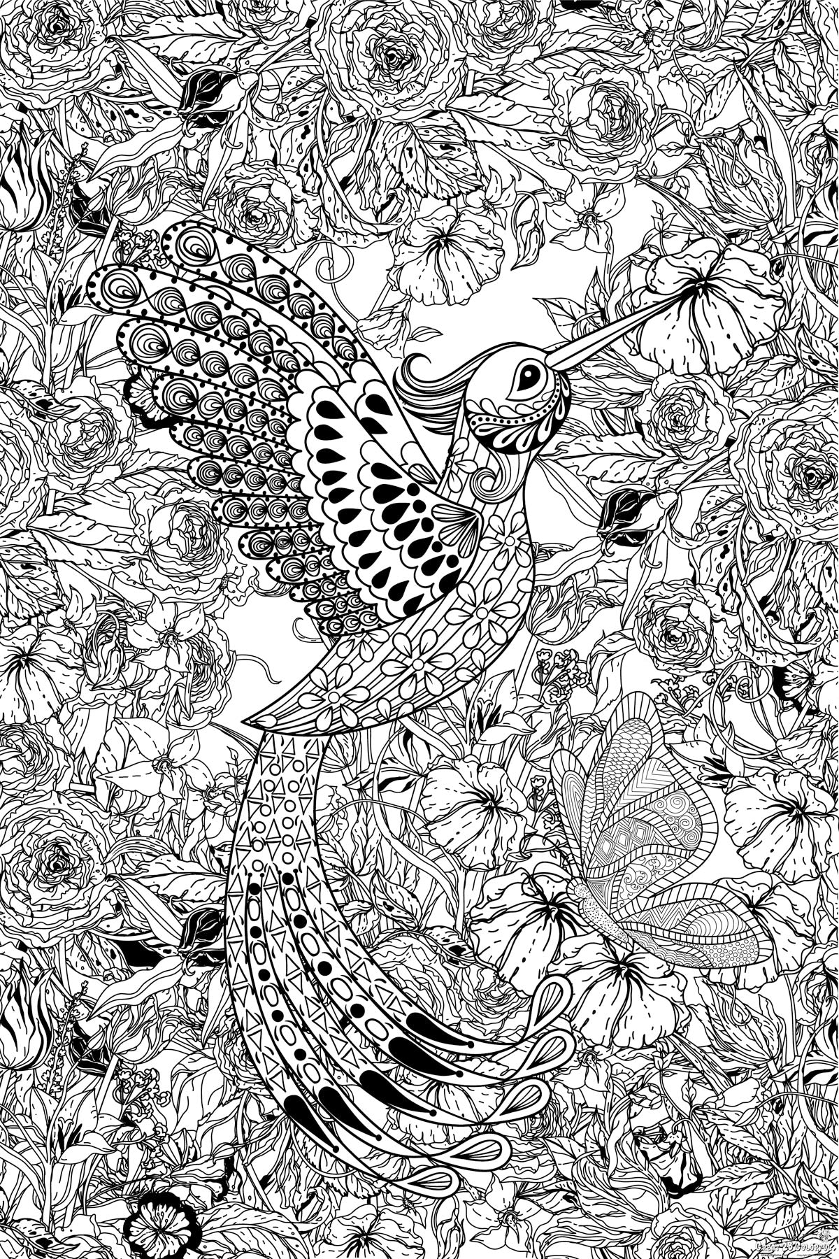 Great2bColorful - Hummingbird Huge Coloring Posters