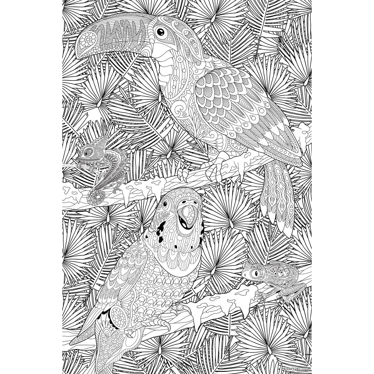 Great2bColorful - Tropical Birds Huge Coloring Posters