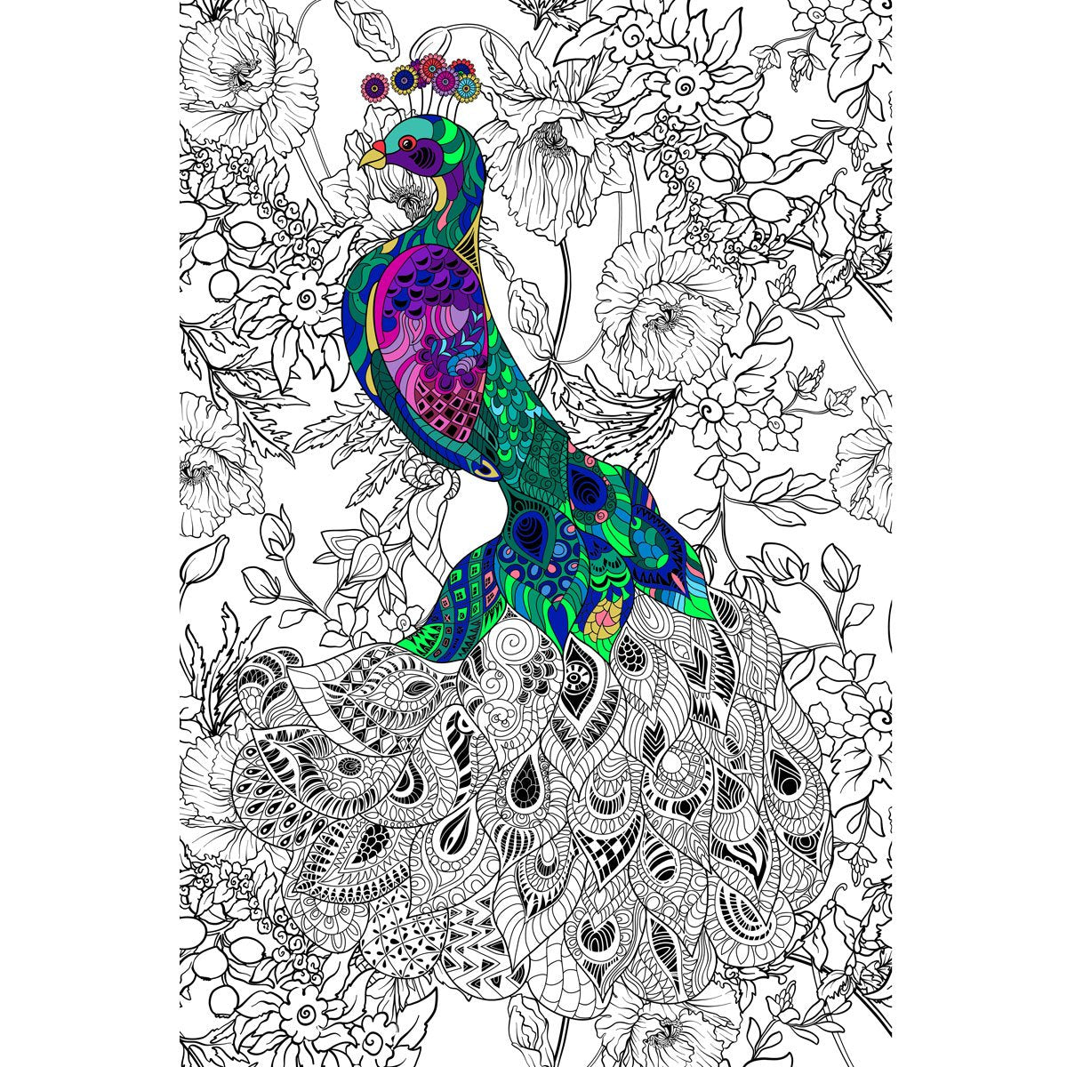 Great2bColorful  - Polish Peacock Huge Coloring Posters