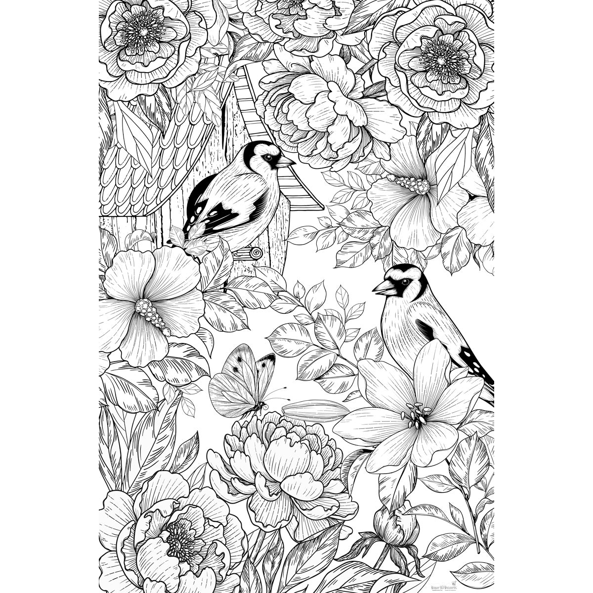 Great2bColorful - Spring Birds Huge Coloring Posters