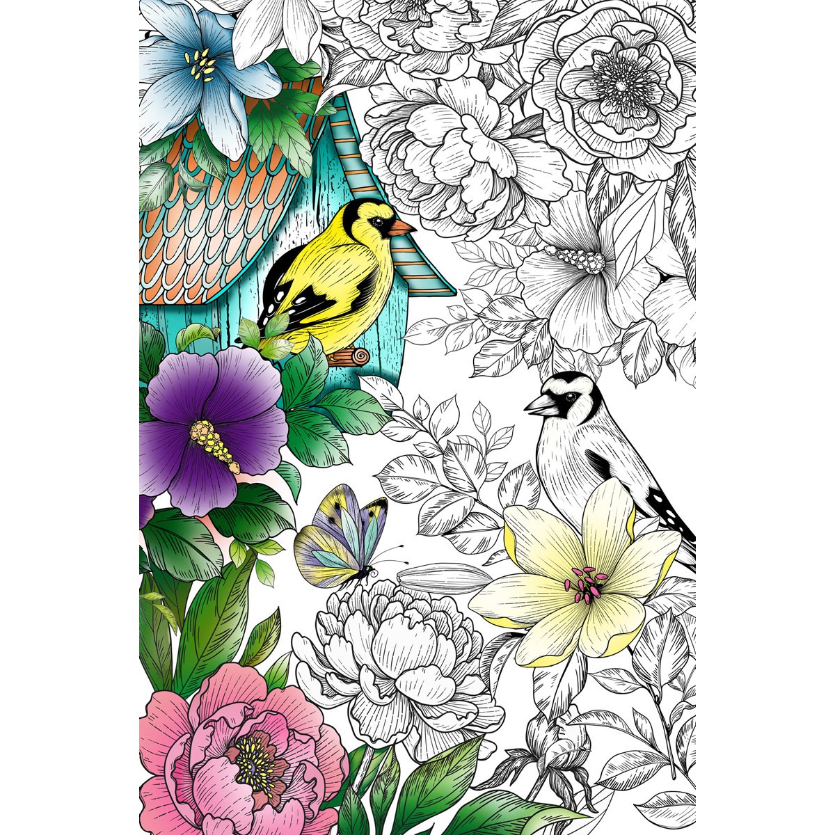 Great2bColorful - Spring Birds Huge Coloring Posters