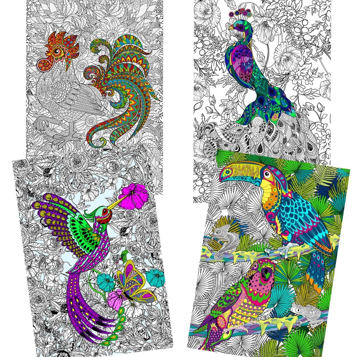 Great2bColorful - 24" x 16" Birds Around The World 4 Pack Huge Coloring Posters